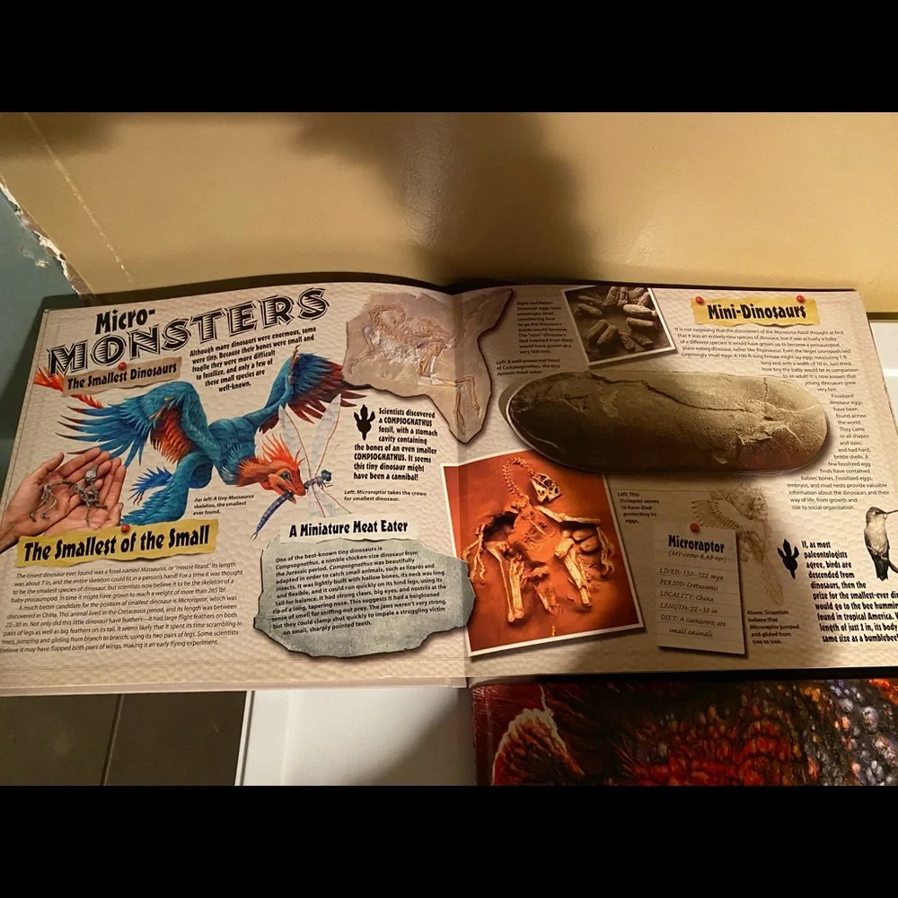 - Predators and dinosaurs books